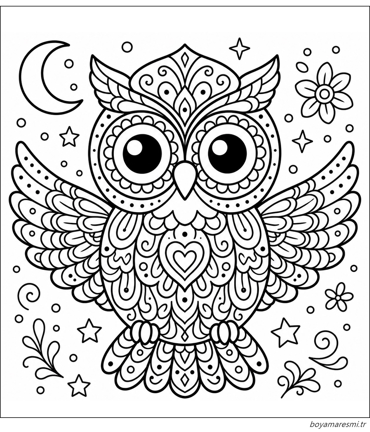 Detaylı tüy desenleri ve gökyüzü motifleriyle süslenmiş mandala baykuş boyama resmi